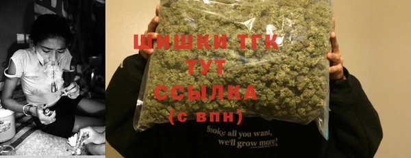 ALPHA PVP Богородицк