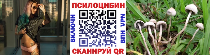 сколько стоит  Нея  Галлюциногенные грибы мицелий 