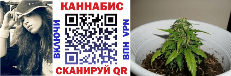 где купить наркотик  Нея  Марихуана Amnesia 